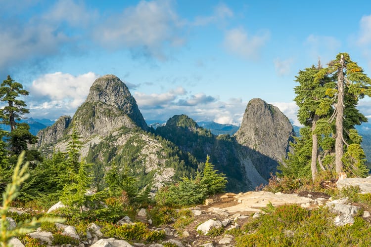 📗 Hiking Guide for The Lions